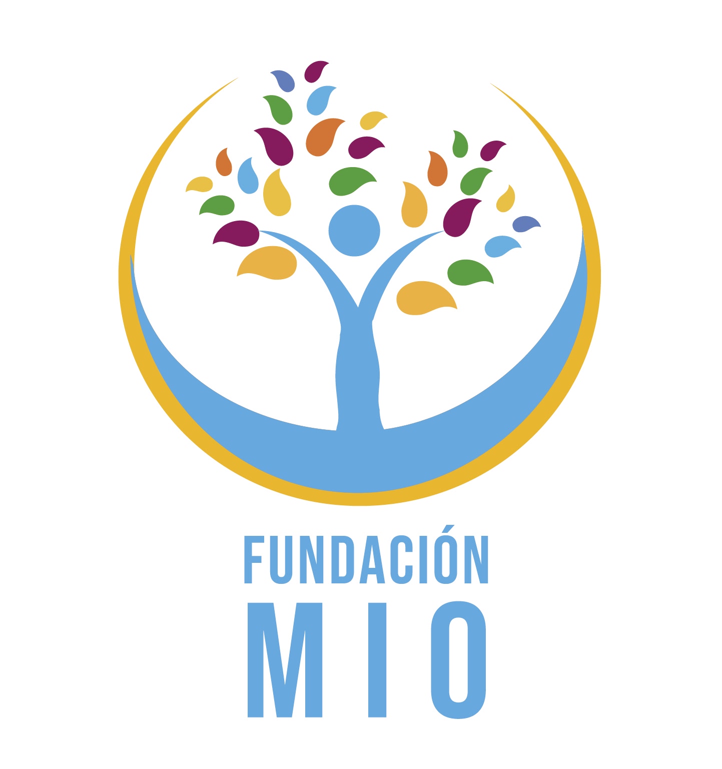Fundación MIO